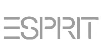 Espirit logo